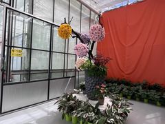 -上海鲜花港