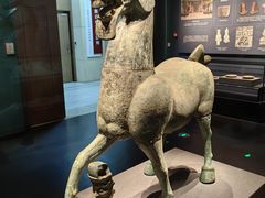 -广西壮族自治区博物馆