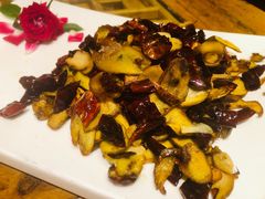 干椒牛肝菌-醉云喃