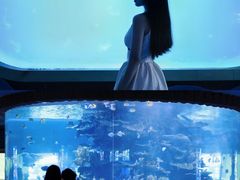 -左海海底世界