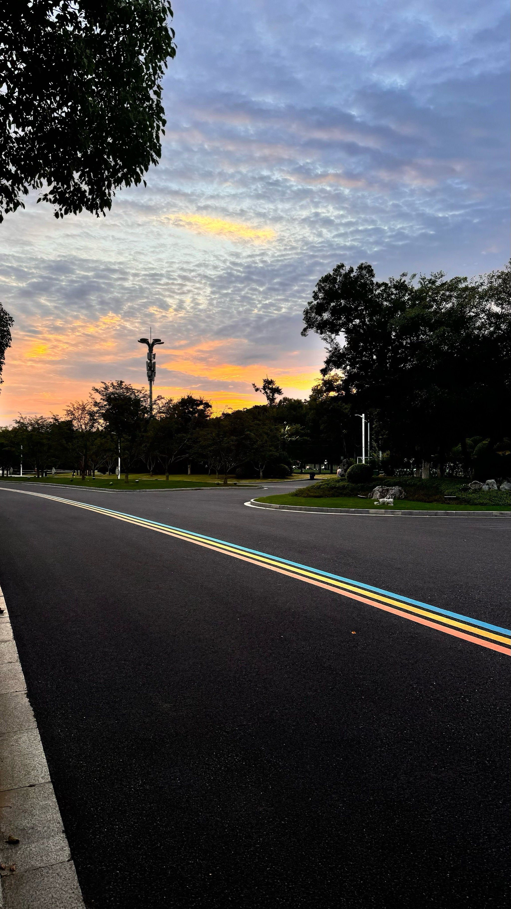 羊山湖公园的小山,里面的步道造的很好,非常适合散步