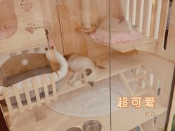 -花系美·美甲美睫精品店