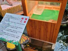 -上海大自然野生昆虫馆(东方明珠·爬宠昆虫探索中心)
