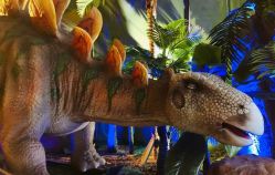 -恐龙探索乐园(磁器口店)