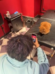 -海王刺青·纹身·穿孔饰品·TATTOO