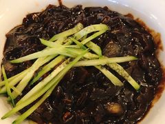 炸酱面-桃园中华料理炸酱面(燕儿岛路店)