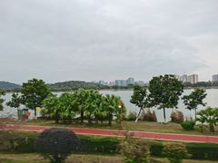 -鹤之洲湿地公园