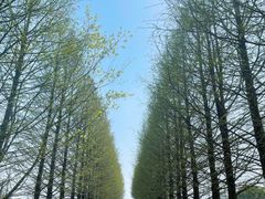 -嘉北郊野公园