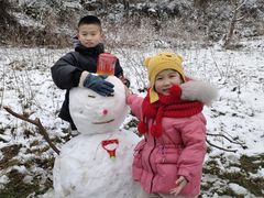 -武陵山森林公园