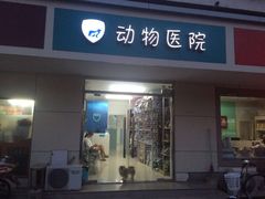 -中农大我爱我爱24h动物医院·中医针灸·猫专科·骨科医疗中心(双井店)