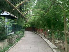 -红螺寺