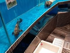 -江南赋(内蒙古大厦店)