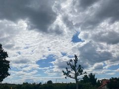 -意大利农场度假村