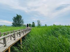 -野鸭湖国家湿地公园