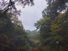 -岳麓山风景名胜区