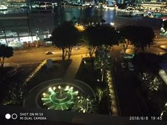 -新加坡文华东方酒店