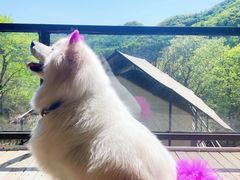 -北京山里寒舍度假酒店