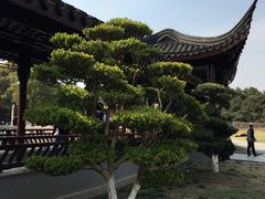 -花溪公园