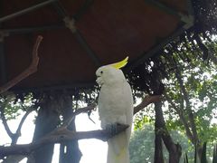 -广州长隆飞鸟乐园