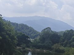 -天强农家菜馆