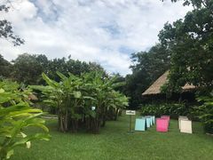 -大象粑粑造纸公园