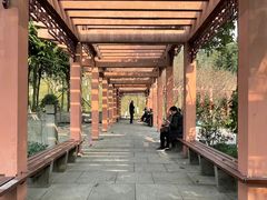 -龙头寺公园