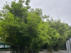 -晓港公园