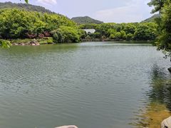 -白马涧龙池景区