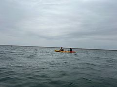 -碧海金沙