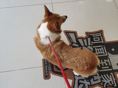 -美联众合24小时·皮肤科·外科·全科诊疗中心(华苑分院)