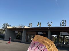 -自然谷恐龙园