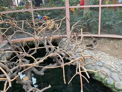 -南宫五洲植物乐园