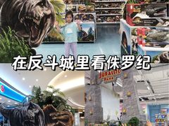 -TOYSRUS玩具反斗城(上海万象城店)
