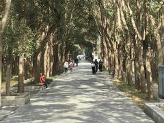 -同里国家湿地公园