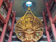 -上海东林寺(金山区)