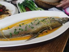 -熠盛粤味·顺德桑拿鸡(永康路店)