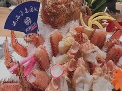 东星斑-尚海豆捞(乐虹坊店)