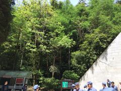-井冈山革命烈士陵园