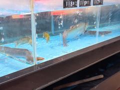 -乡里八闽·福州乡土菜(火车北站店)