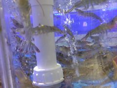 -香湖海鲜餐厅(青澳湾店)