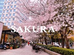 -玛格萝妮比萨屋(四平店)