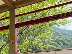 -岚山嵯峨野观光小火车