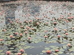 -厦门海湾公园游乐场