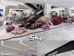 -北京SKP