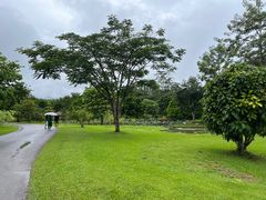 -中国科学院西双版纳热带植物园