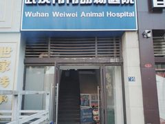 -伟伟宠物医院·瑞派猫友好医院·猫科(光谷店)