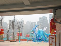 -海合安成都极地海洋公园
