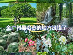 -华南国家植物园-售票处