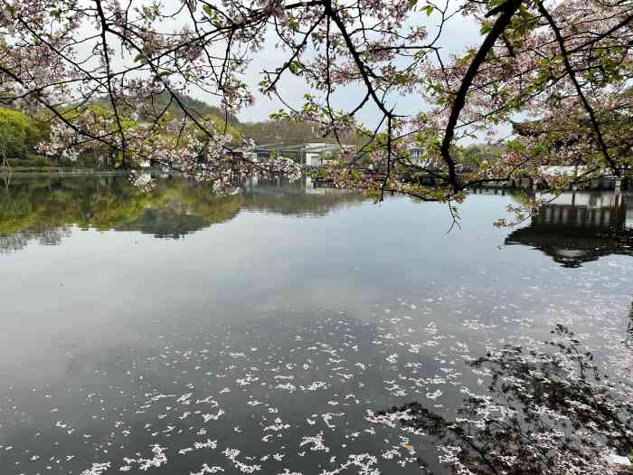 福井杭州图片