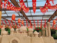 -南宫五洲植物乐园